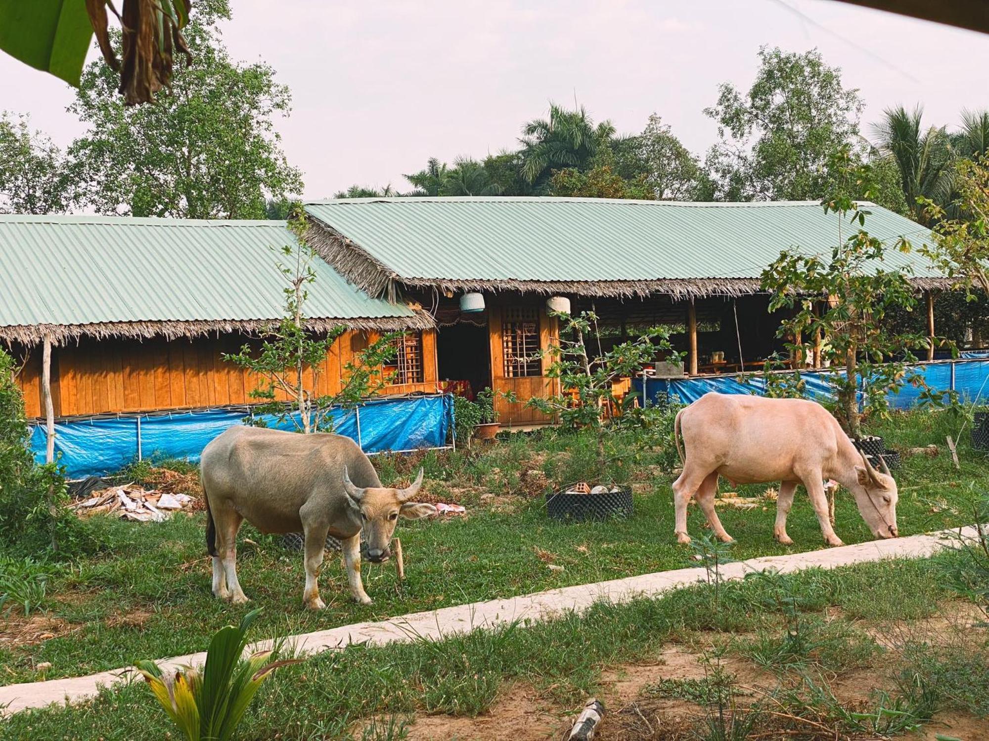 The Local Homestay Con Son Can Tho Eksteriør bilde